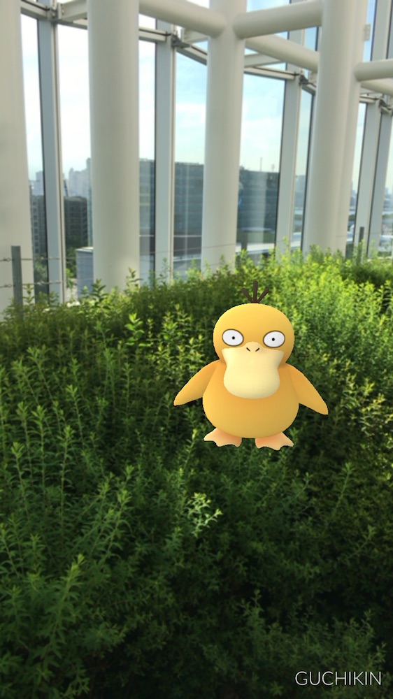 コダックだった……