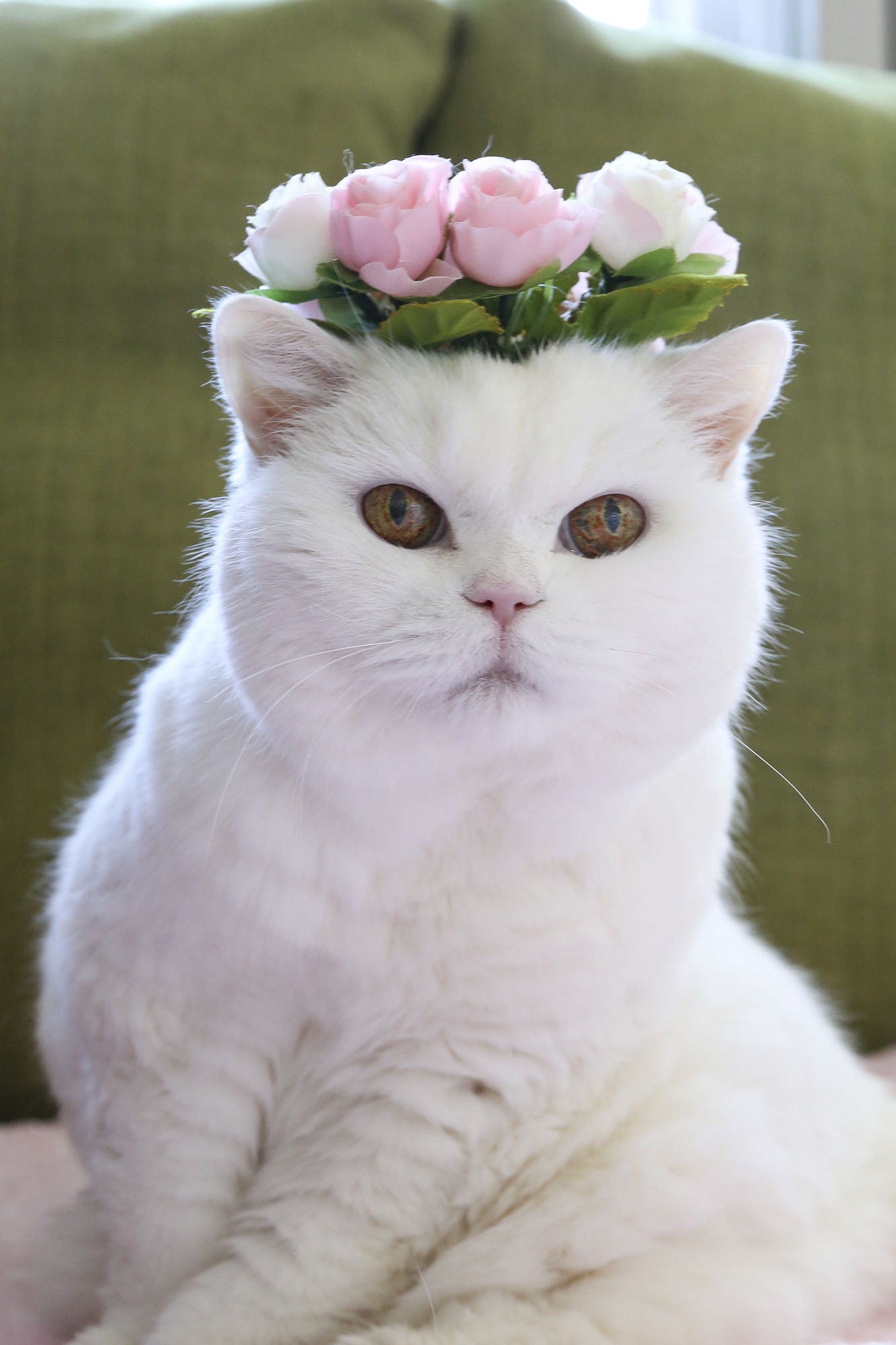 ねこ休み展 春 2018 / JOE_2