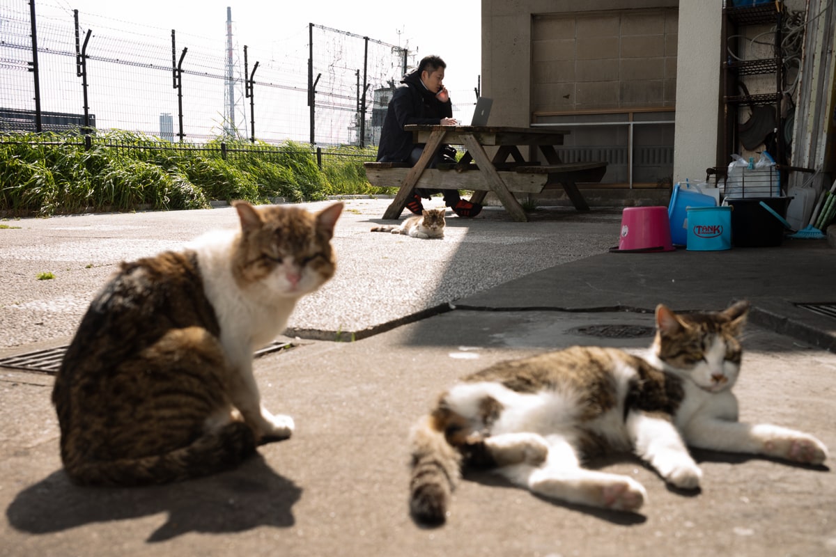 なぜ海辺で？と思うかもしれないが、その理由は後で判明する