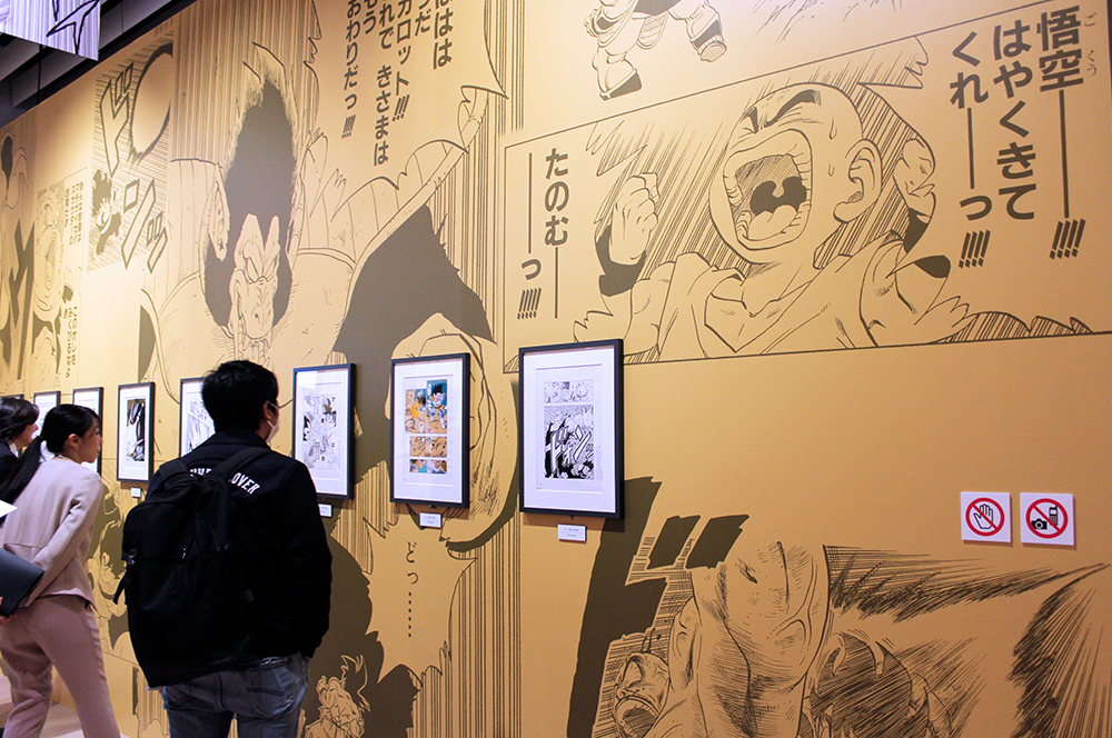 （C）バードスタジオ／集英社