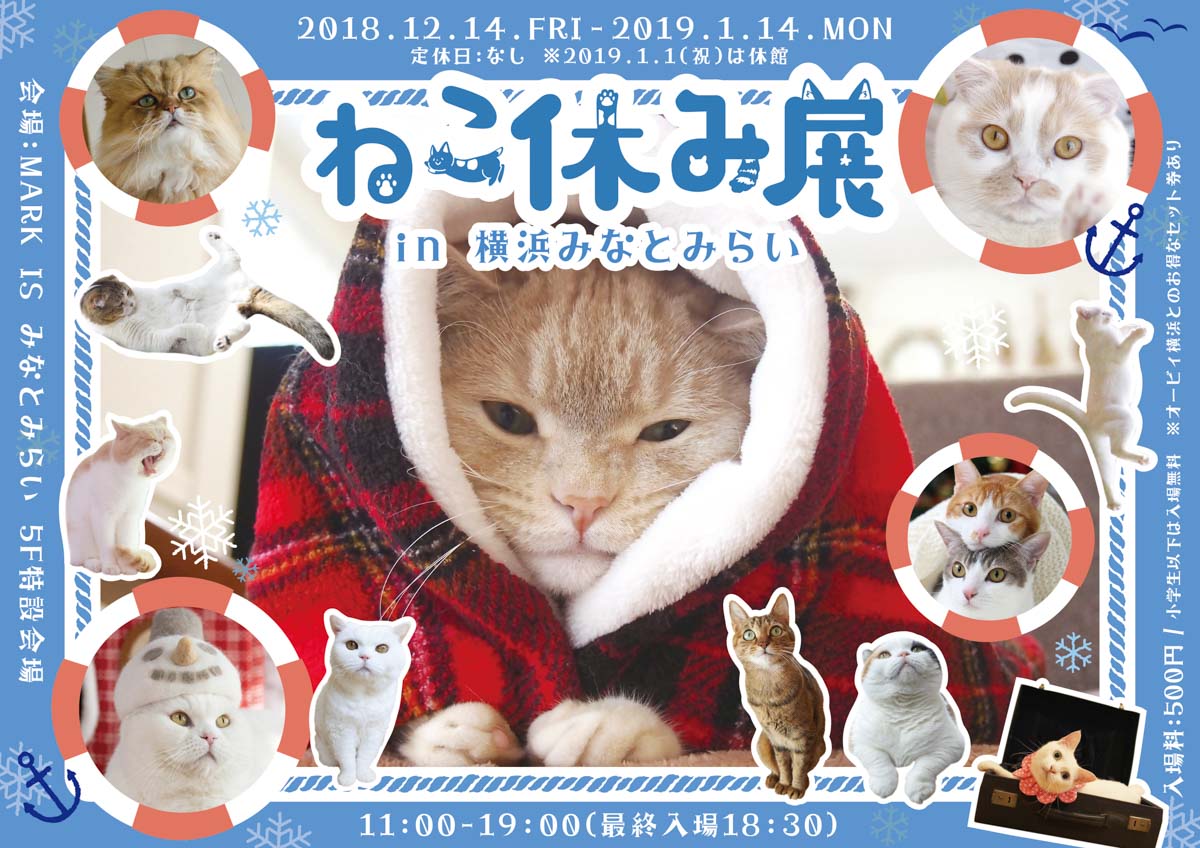 「ねこ休み展 in 横浜みなとみらい」