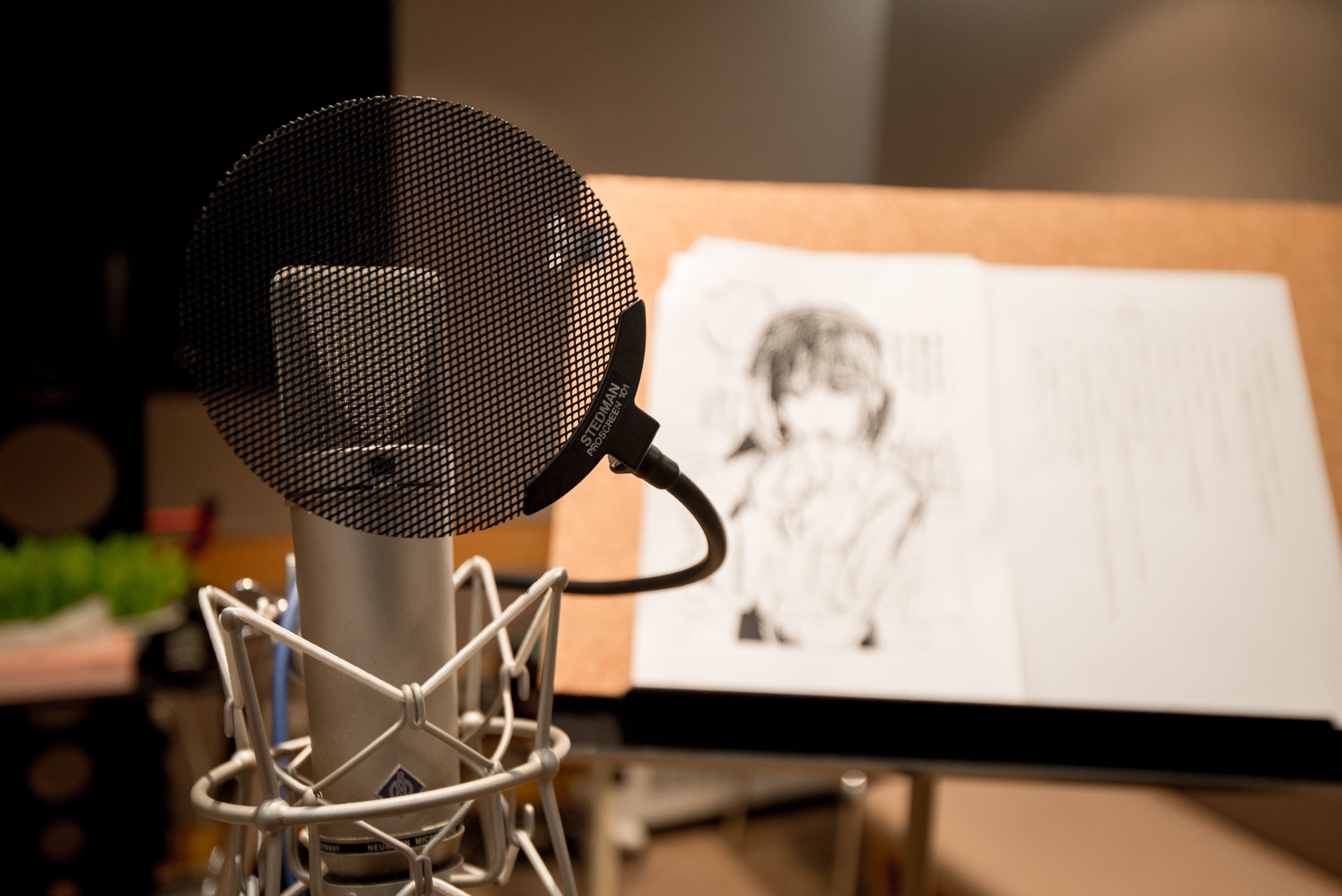 「罵倒少女：素子」再び