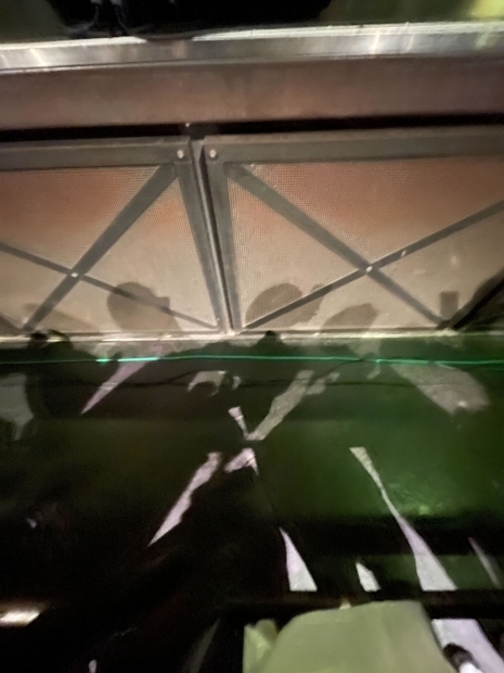 ac331121424d7e6360d2f59266791d41.jpg