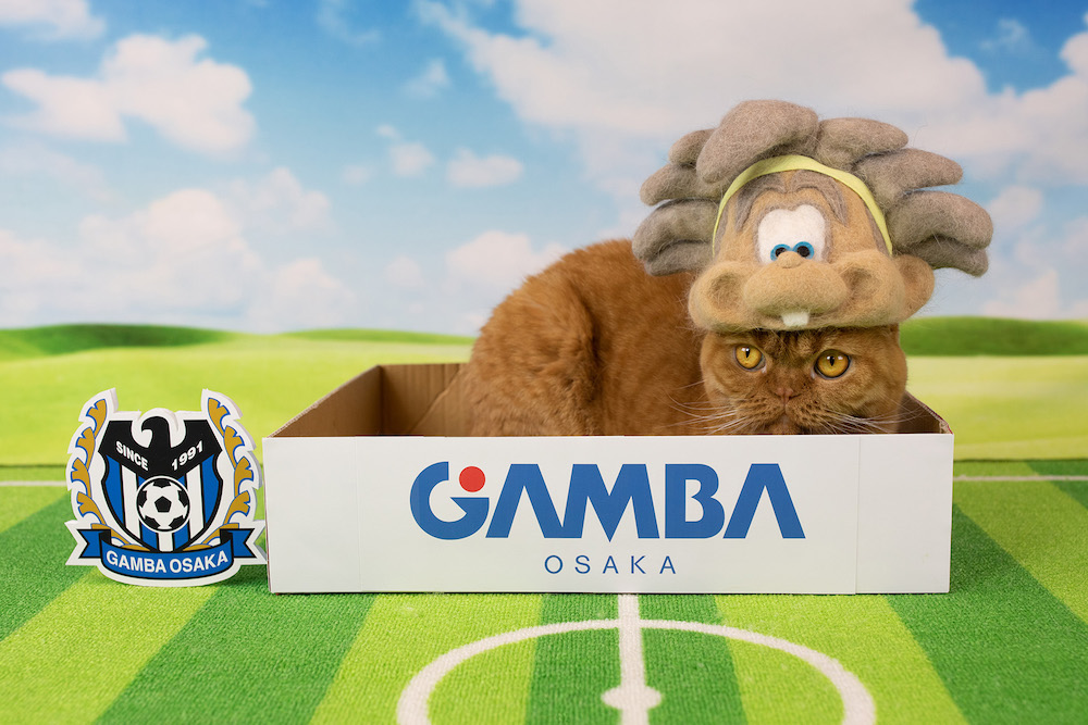 (C)ねこ休み展in大阪 / ガンバボーイ_2