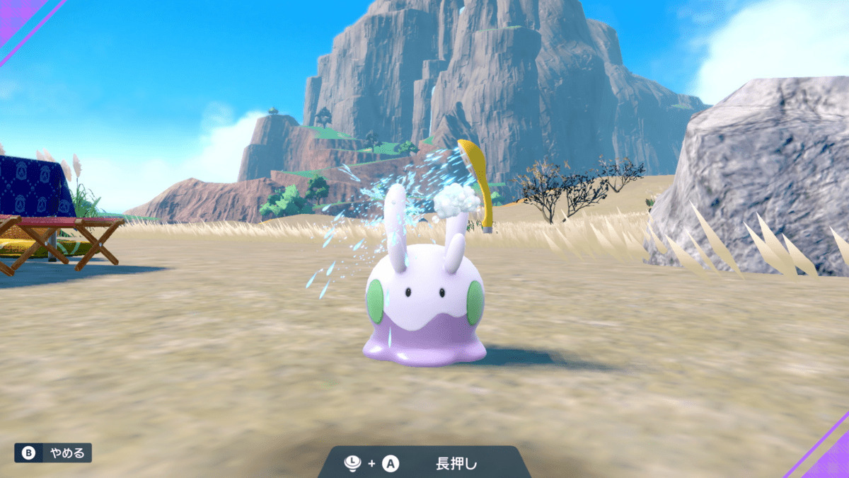 ポケモンウォッシュ1