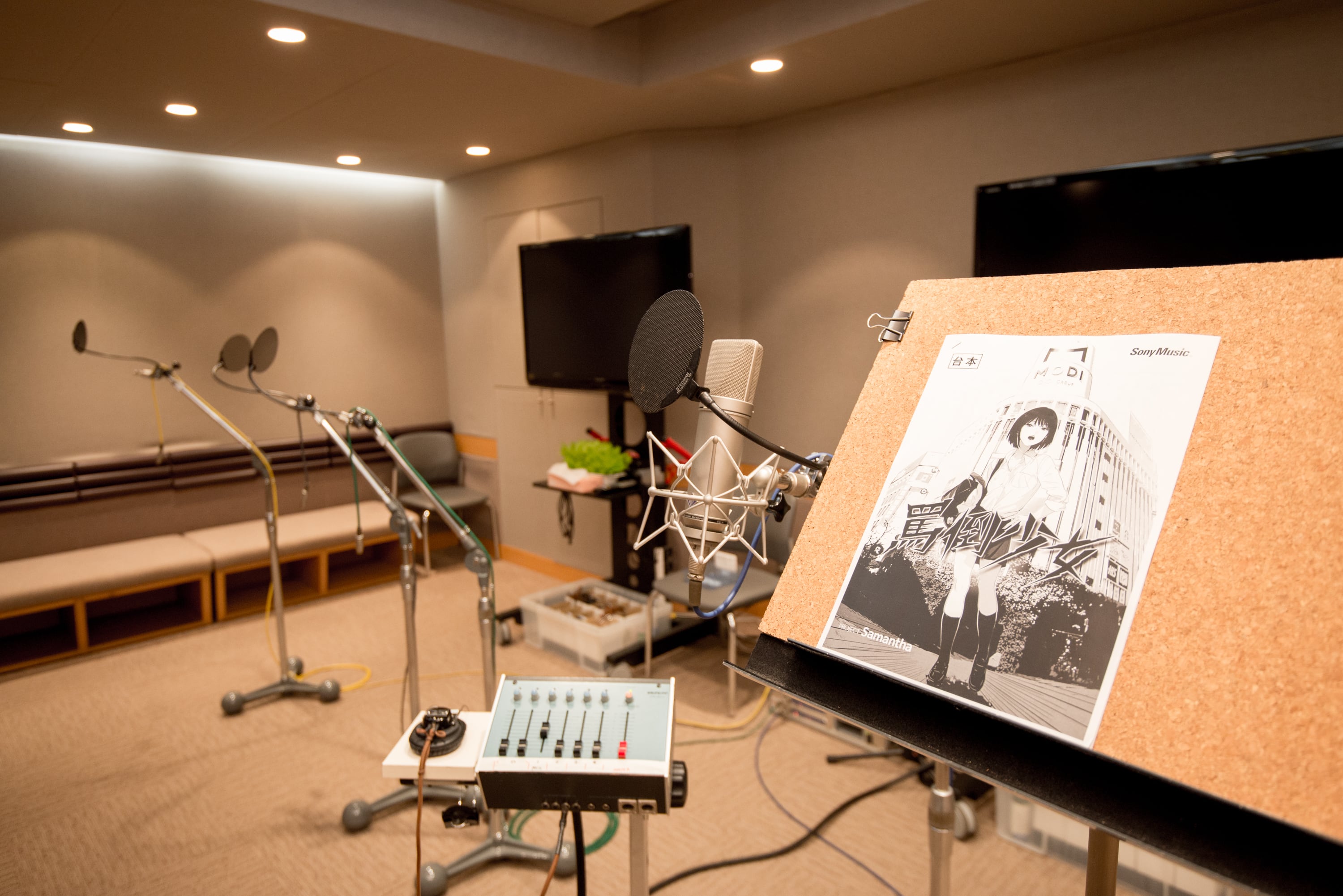 「罵倒少女：素子」再び