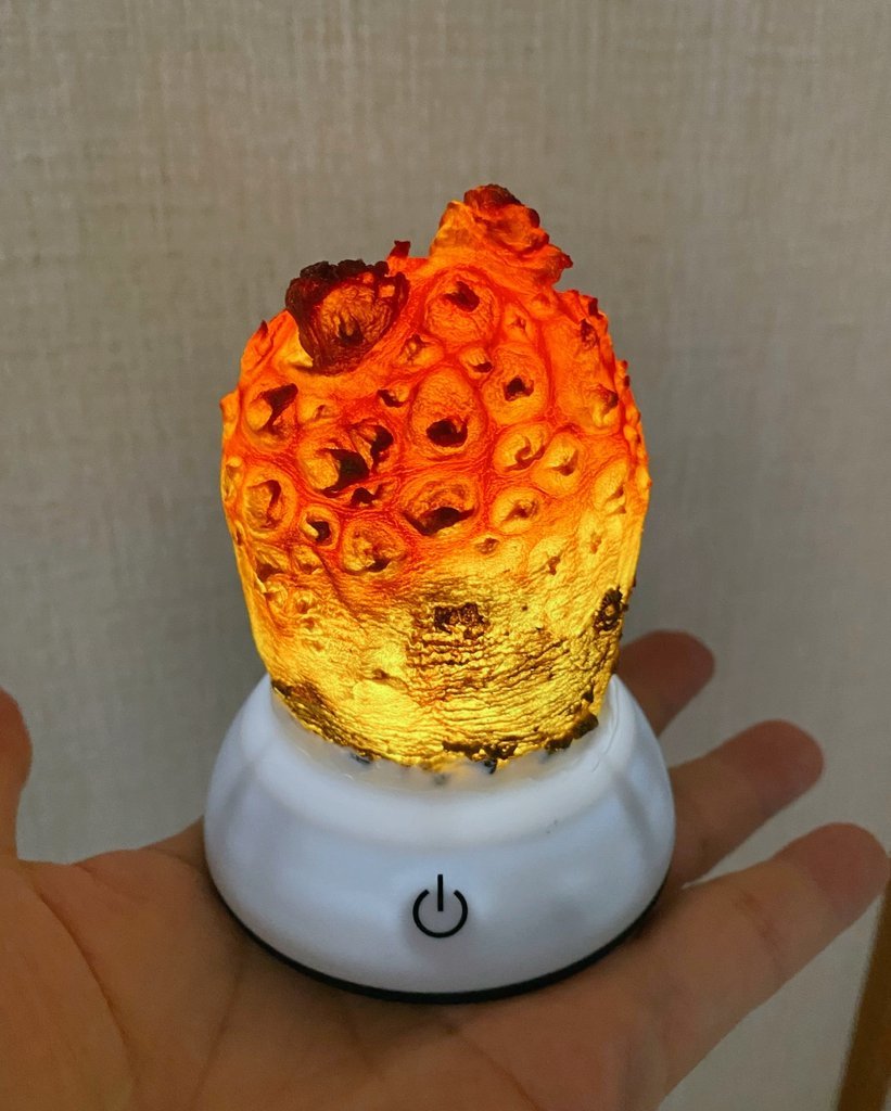 画像2: ヤバいやつが生まれそう…ホヤランプの「ナニカの卵」感がすごい