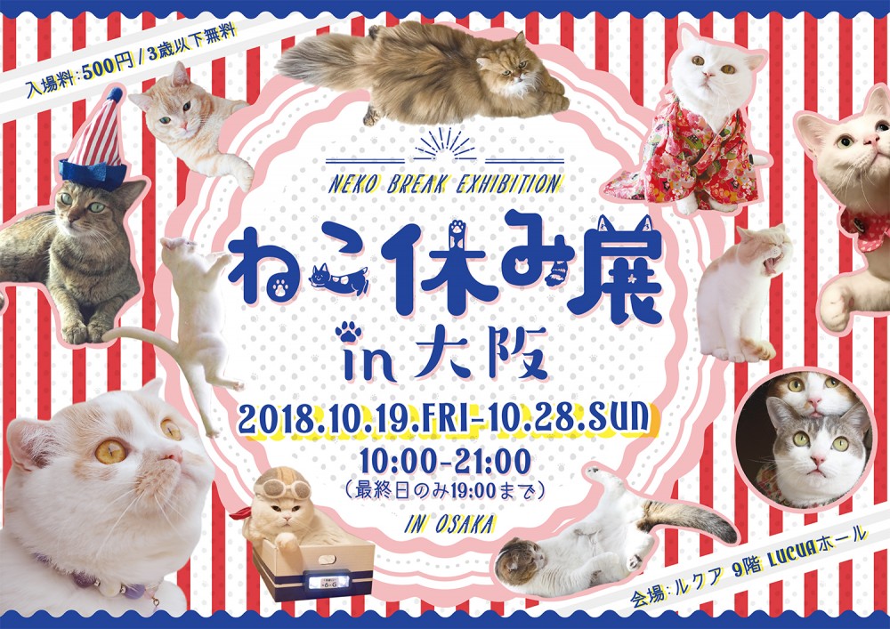 ねこ休み展in大阪