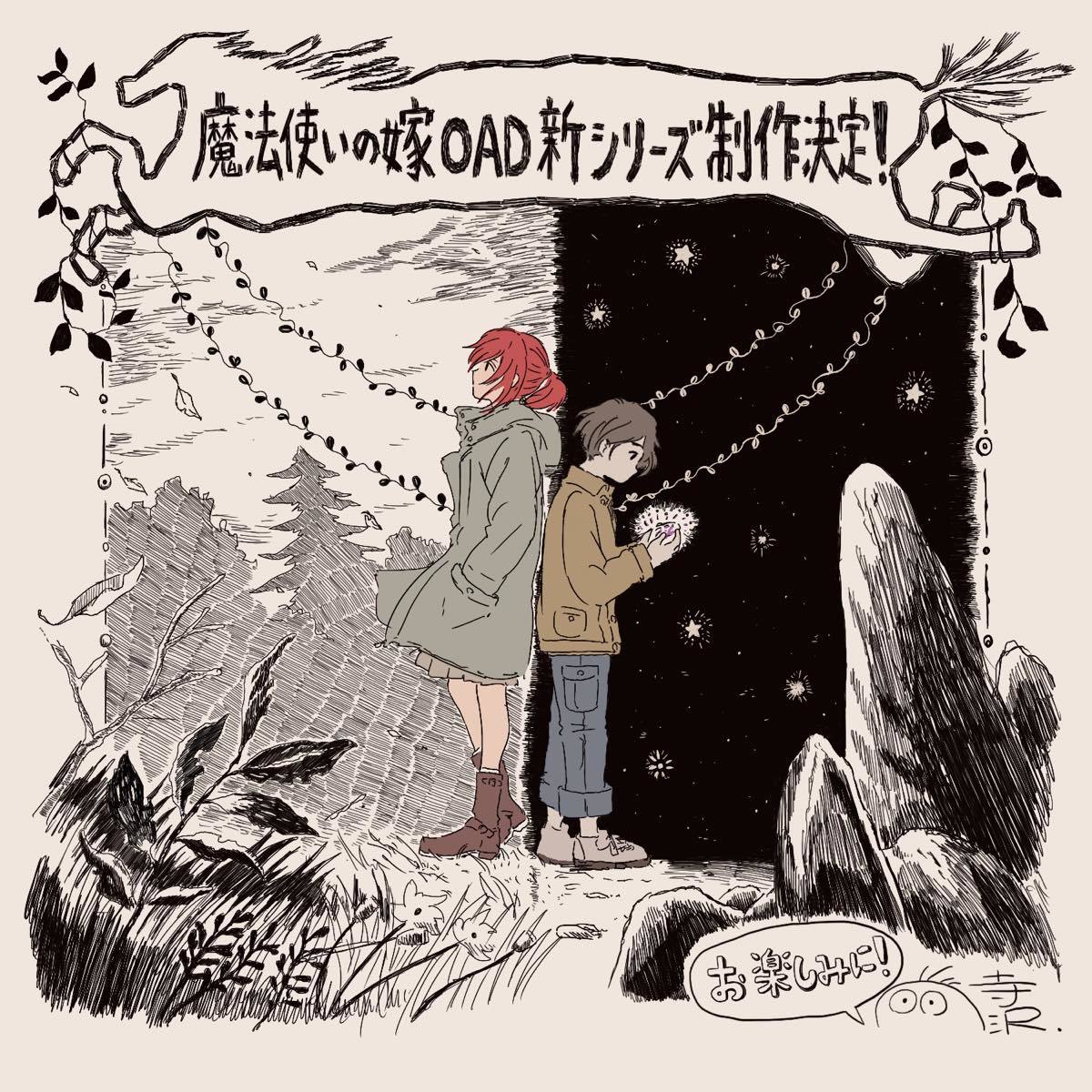 『魔法使いの嫁』コメント／監督・寺澤和晃さんより
