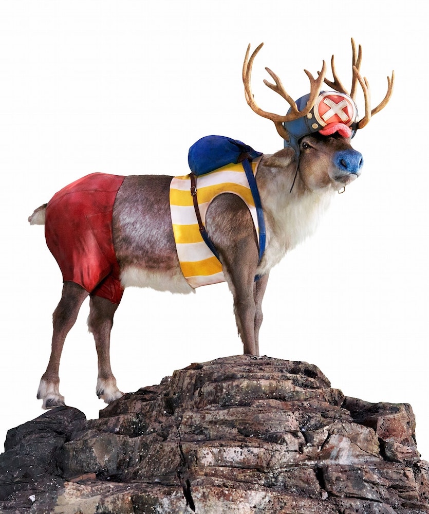 06_ONE PIECE_チョッパー