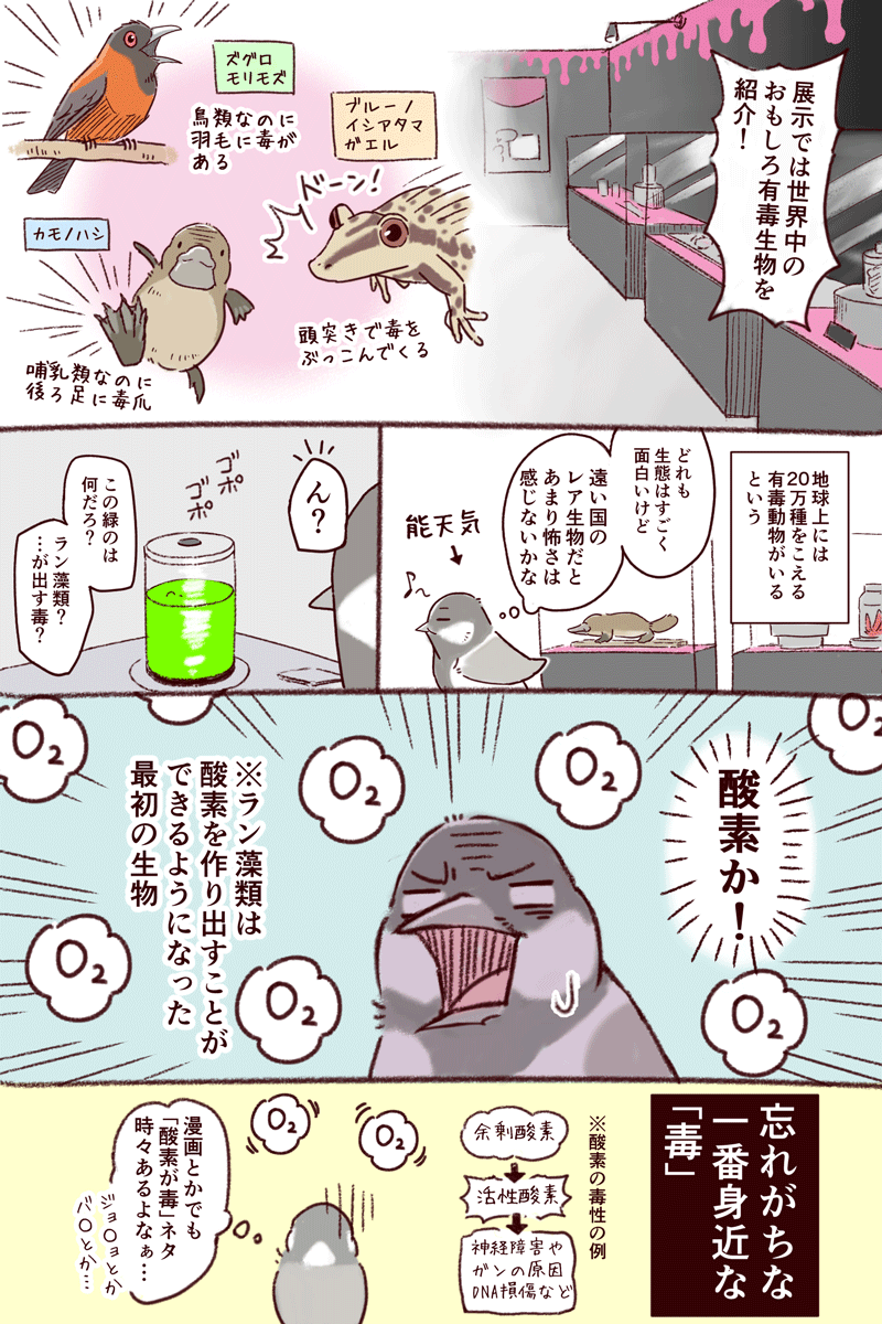 特別展「毒」レポート漫画／作：一日一種_2