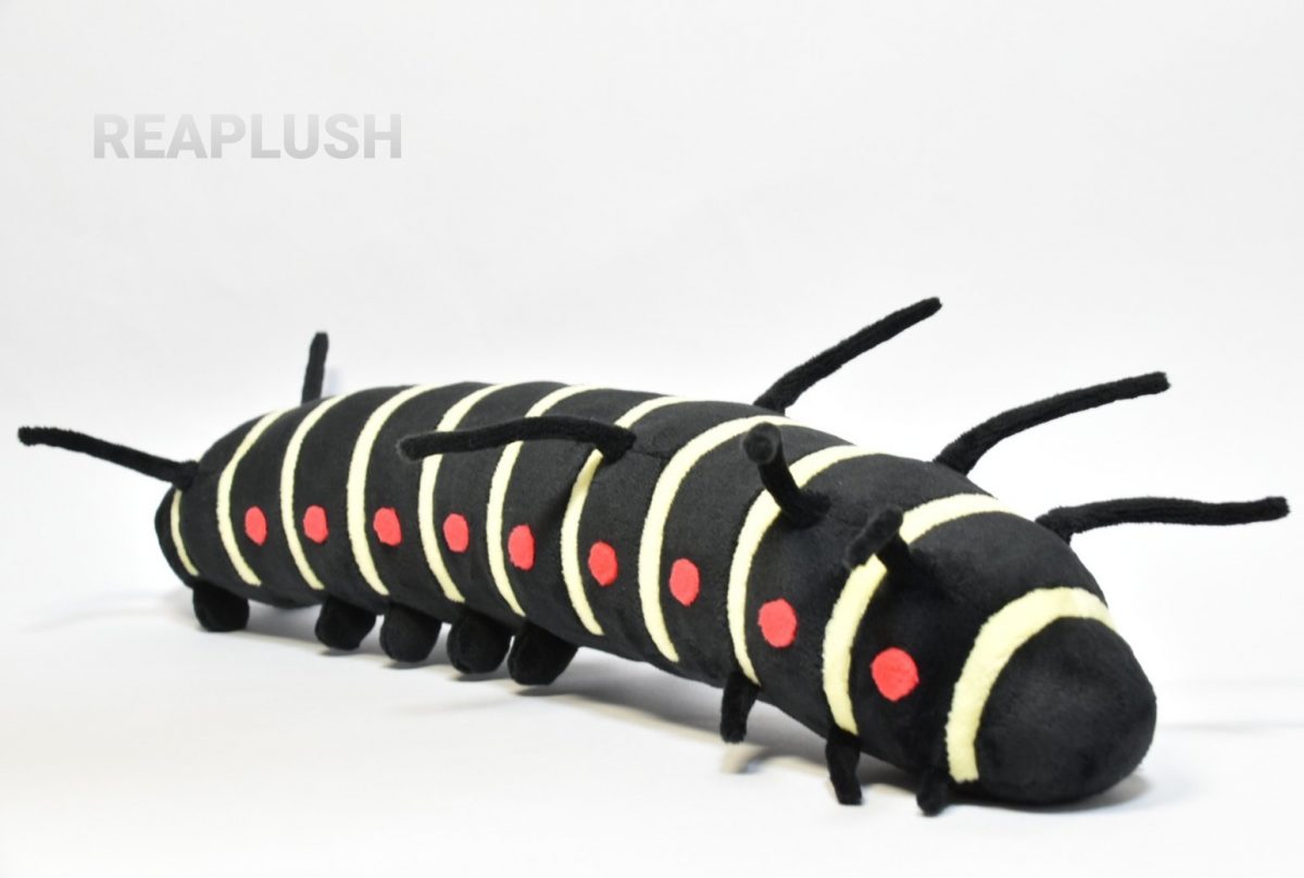 「オオゴマダラの幼虫ぬいぐるみ」