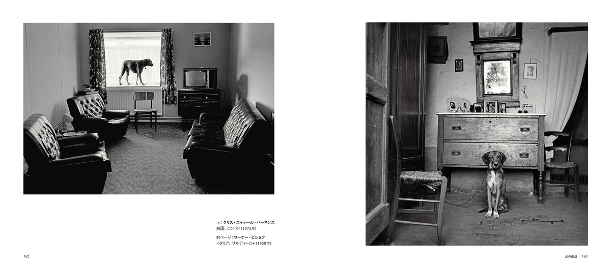 『MAGNUM DOGS マグナムが撮った犬』