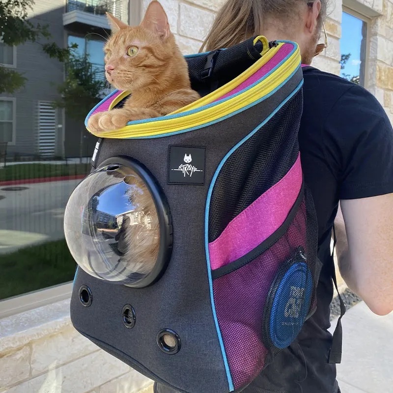 Stray X Travel Cat Backpack Limited-Edition／画像はTravel Cat販売サイトより