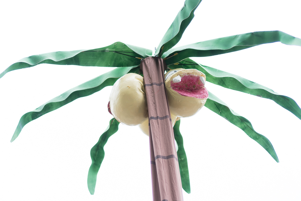 わっしゃーさん／ナッシー（アローラのすがた）