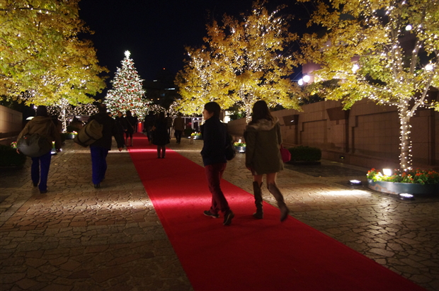 レッドカーペット