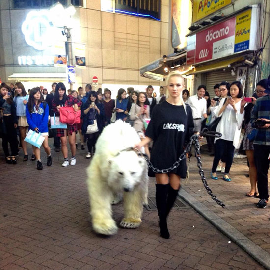 渋谷に白熊が出現！  謎のロシア人団体・LALSHがポップすぎてヤバい