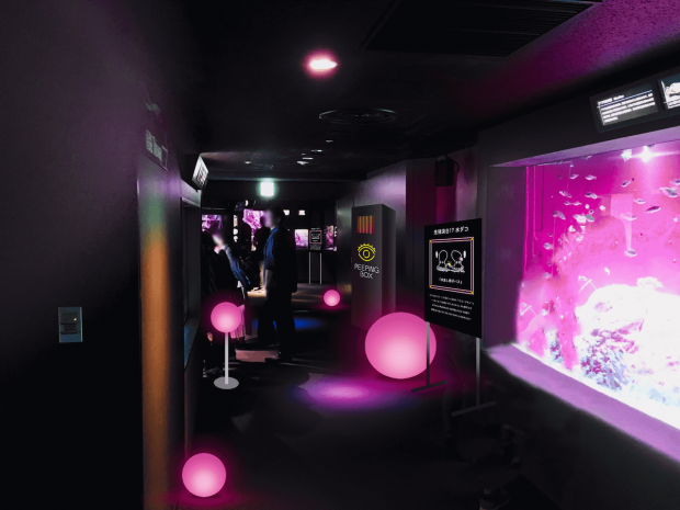 「性いっぱい展」ムーディーなお部屋