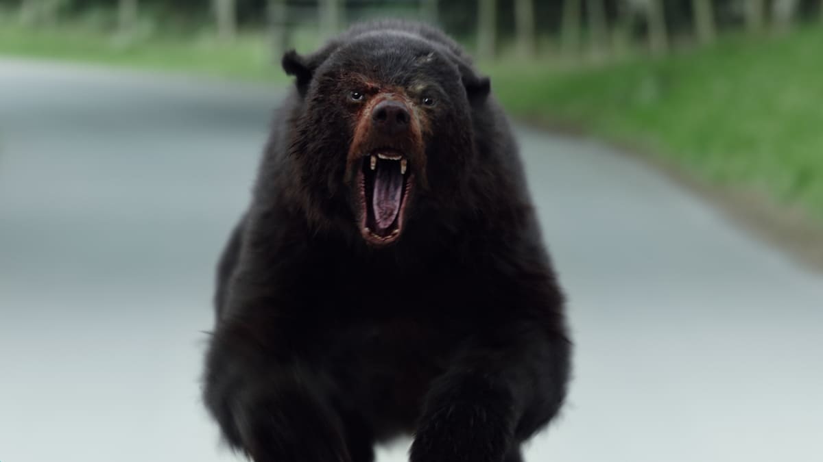 コカイン・ベア 場面カット 3