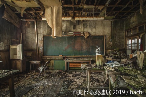 hachiさんの写真
