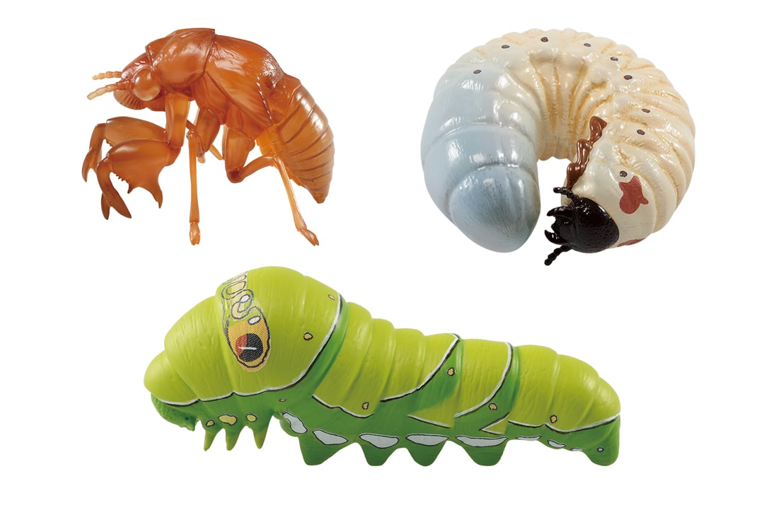 デスクトップ昆虫