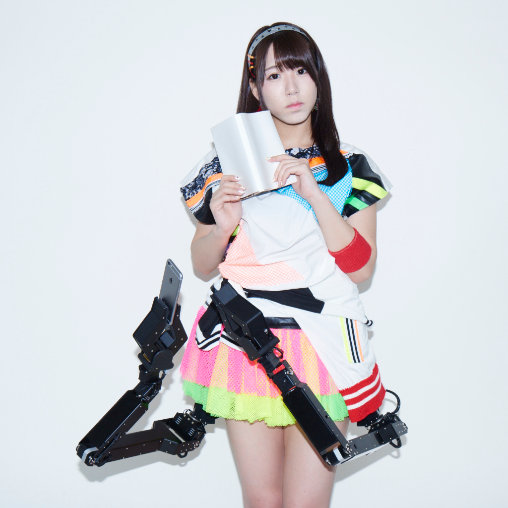 アームスカート×妄想キャリブレーション（妄キャリ） 2