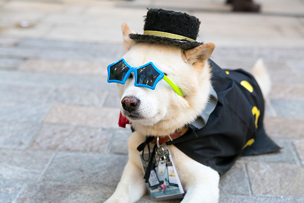 川崎ハロウィン仮装コスプレ写真2