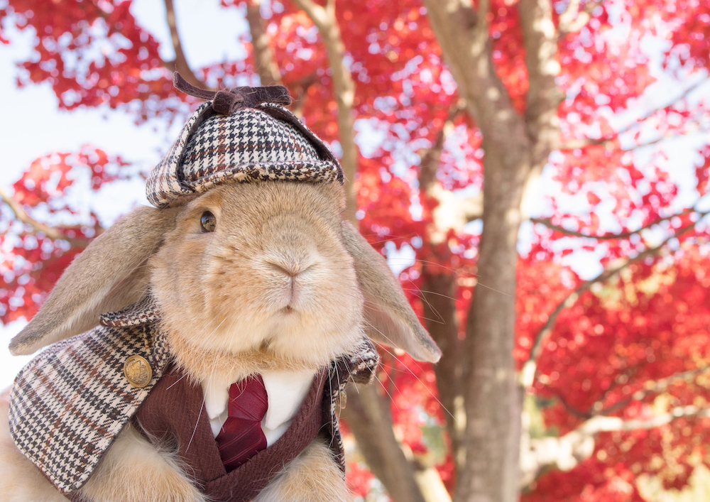 (C)うさぎしんぼる展 in 名古屋／mumitan