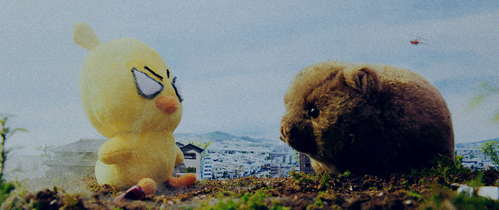 「ひよこちゃんvsウォンバット」