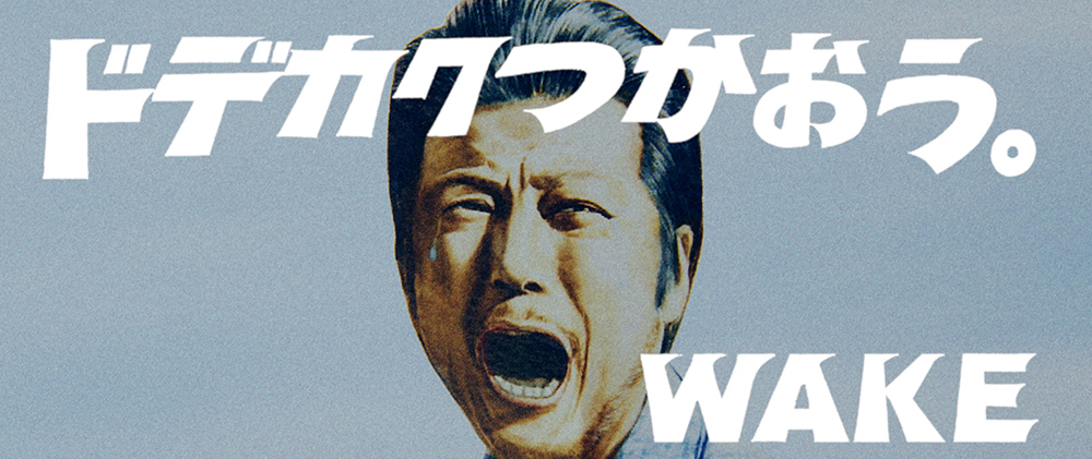 「ひよこちゃん vs ウォンバット」より、あんちゃん