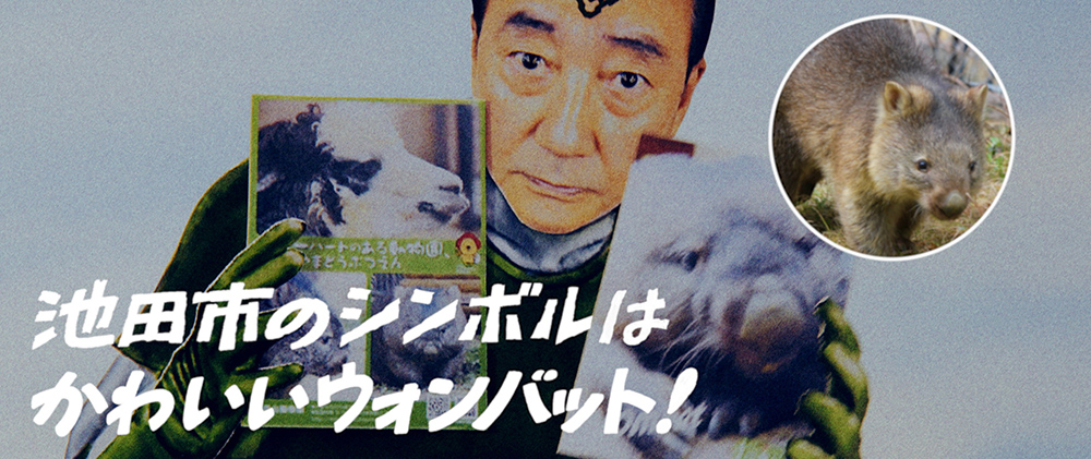 「ひよこちゃんvsウォンバット」