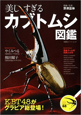 re51fketxpvcL._SX350_BO1,204,203,200_