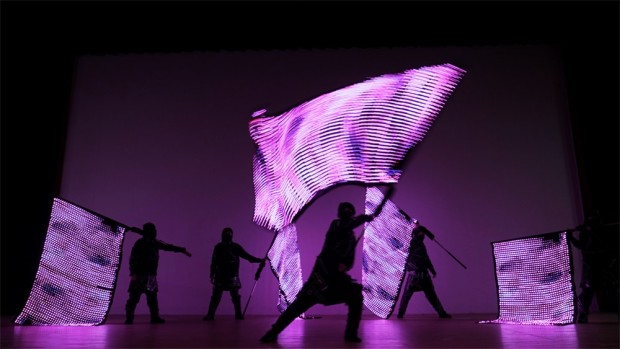 LED VISION FLAG