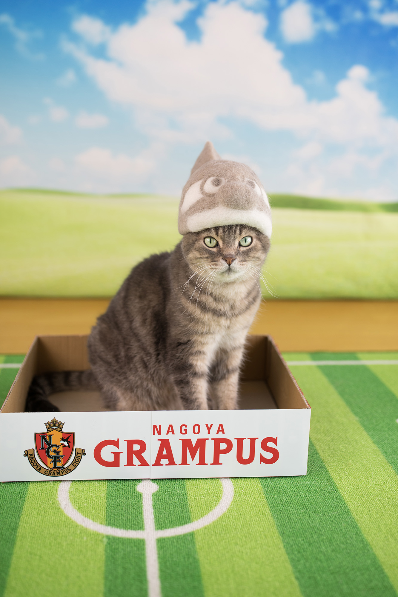 ねこ休み展 春 2018 / rojiman_1