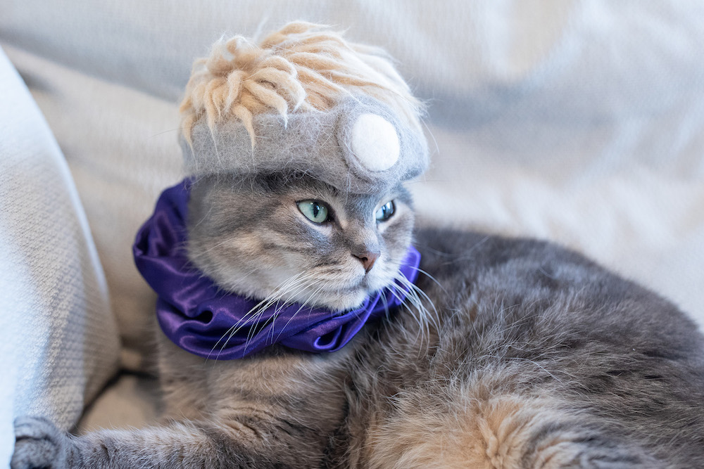 (C)ねこ休み展in大阪 / rojiman