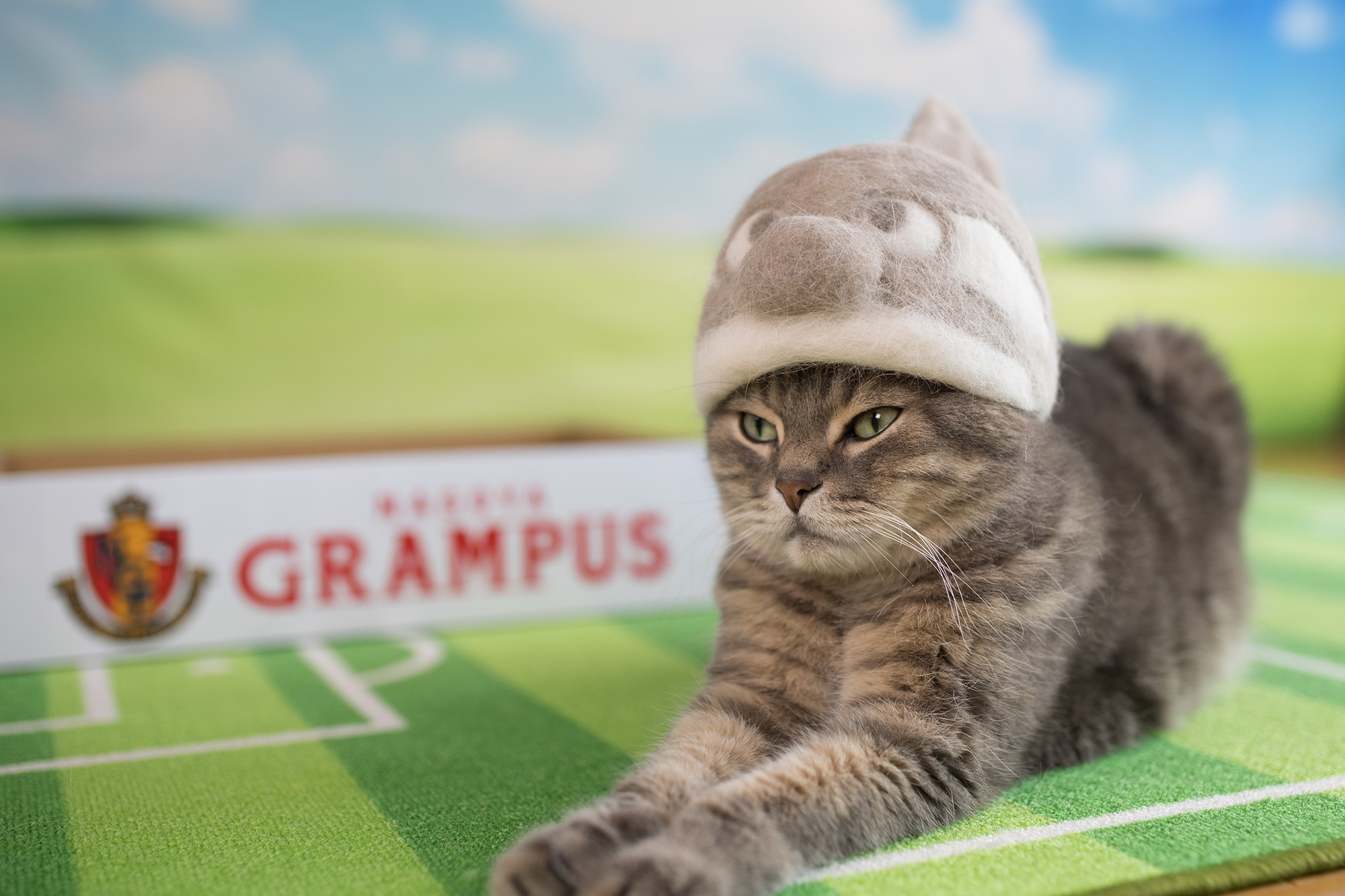 ねこ休み展 春 2018 / rojiman_3