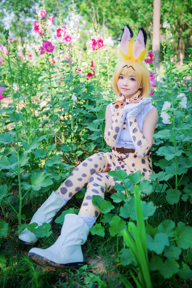 さくらさん／『けものフレンズ』サーバル