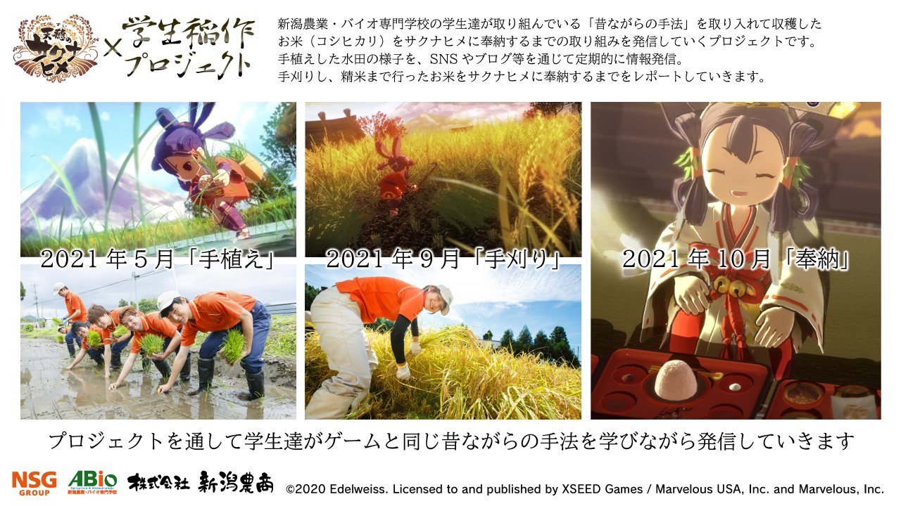 新潟農業・バイオ専門学校 天穂のサクナヒメ 学生稲作プロジェクト