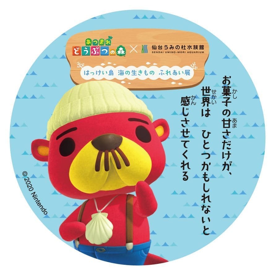 「あつまれ どうぶつの森 × 仙台うみの杜水族館　はっけい島 海の生きもの ふれあい展」