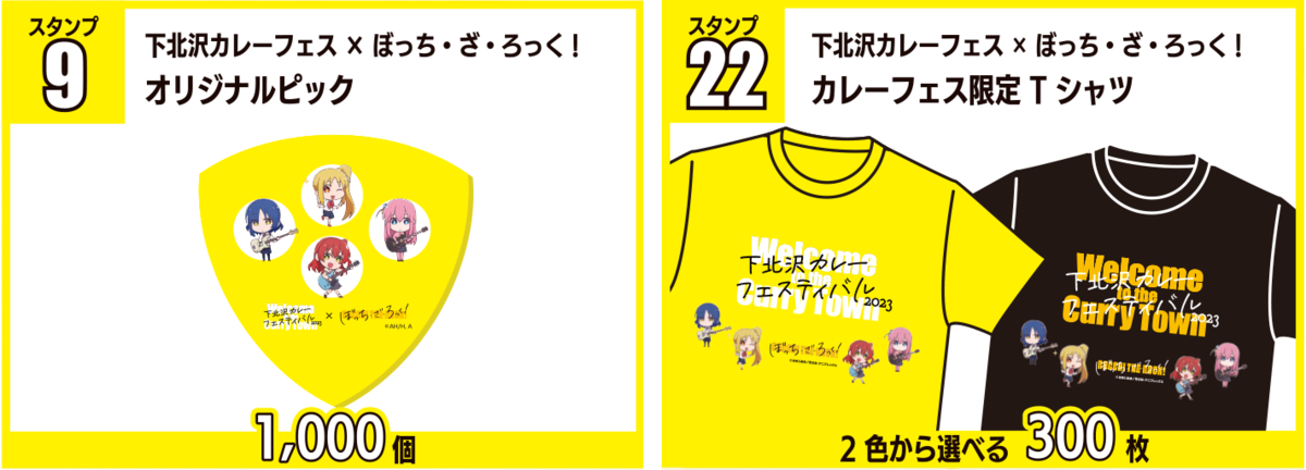 オリジナルピックとTシャツ