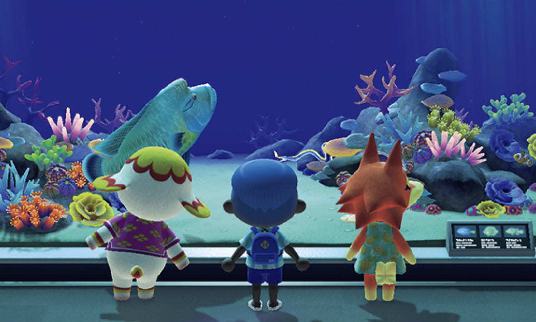 「あつまれ どうぶつの森 × 横浜・八景島シーパラダイスはっけい島 海の生きもの ふれあい展」