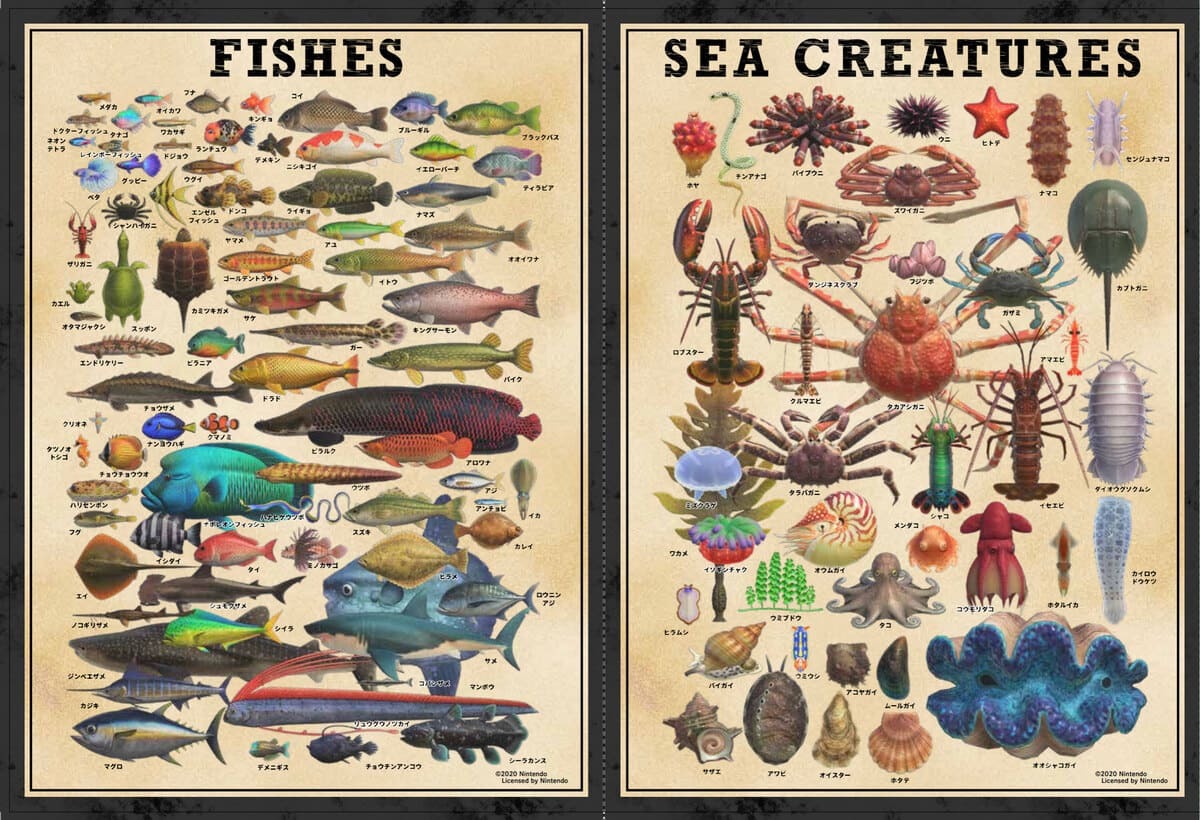 特典 島の生きものポスター2