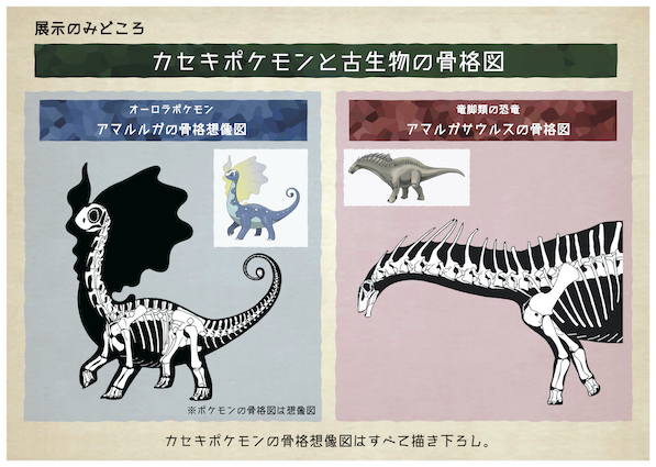 ポケモン化石博物館 展示イメージ