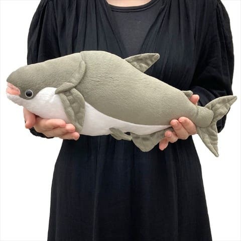 メコンオオナマズのぬいぐるみ