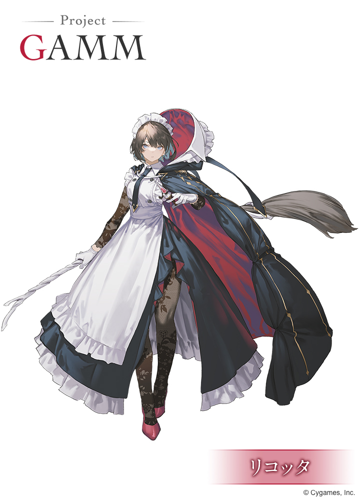 Project GAMM リコッタ