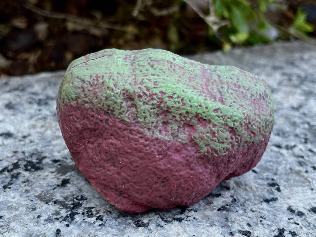 「赤石（苔ver.）」