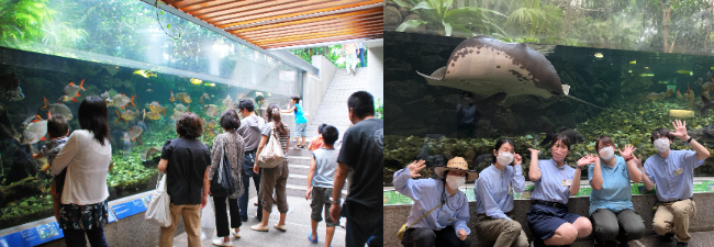 板橋区立熱帯環境植物館