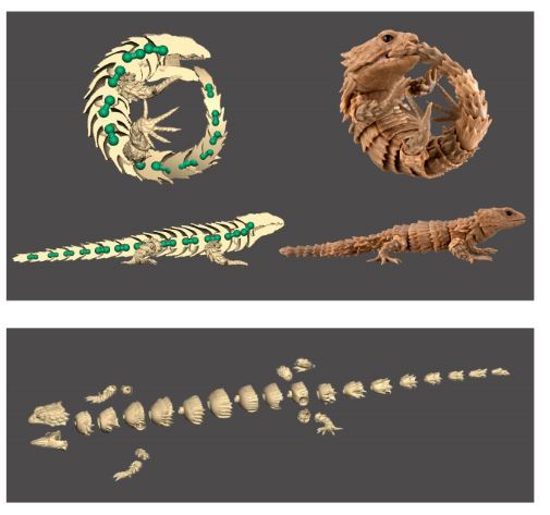 ガシャポン『いきものシリーズ』