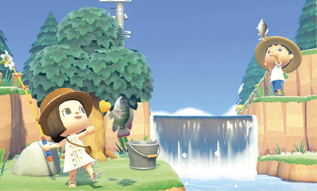 「あつまれ どうぶつの森 × 横浜・八景島シーパラダイスはっけい島 海の生きもの ふれあい展」