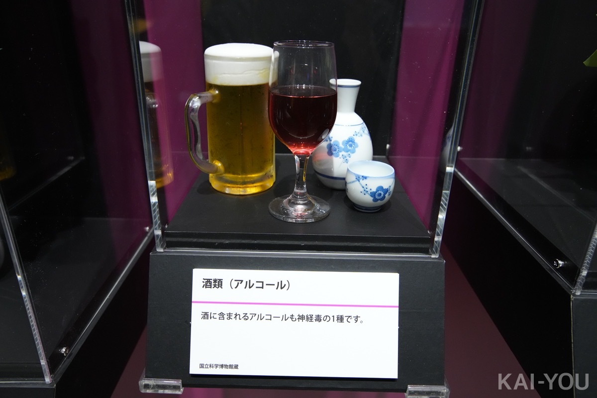 画像13: 特別展「毒」レポート漫画　“あらゆる物質は毒”──毒と人間の付き合い方